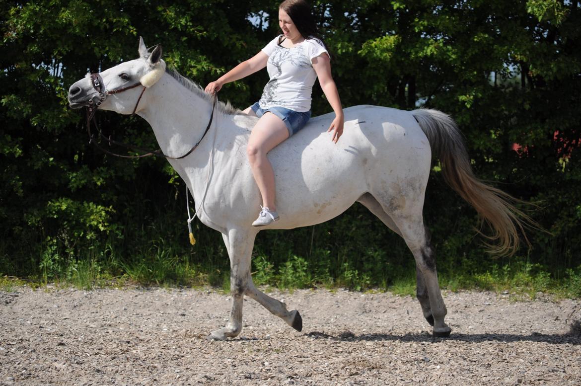 sjove/mærkelige/hyggelige billeder  billede 16