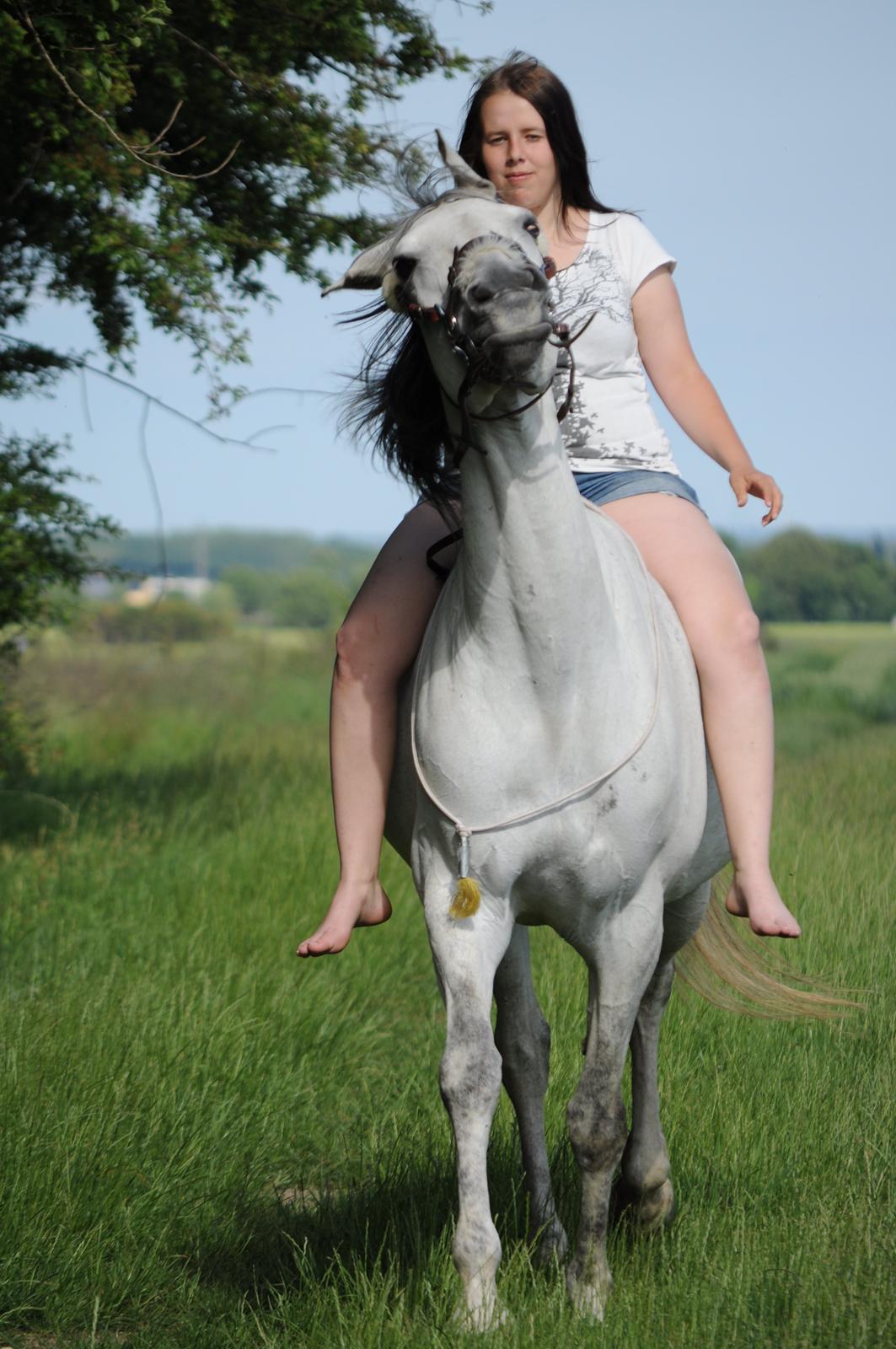 sjove/mærkelige/hyggelige billeder  billede 19