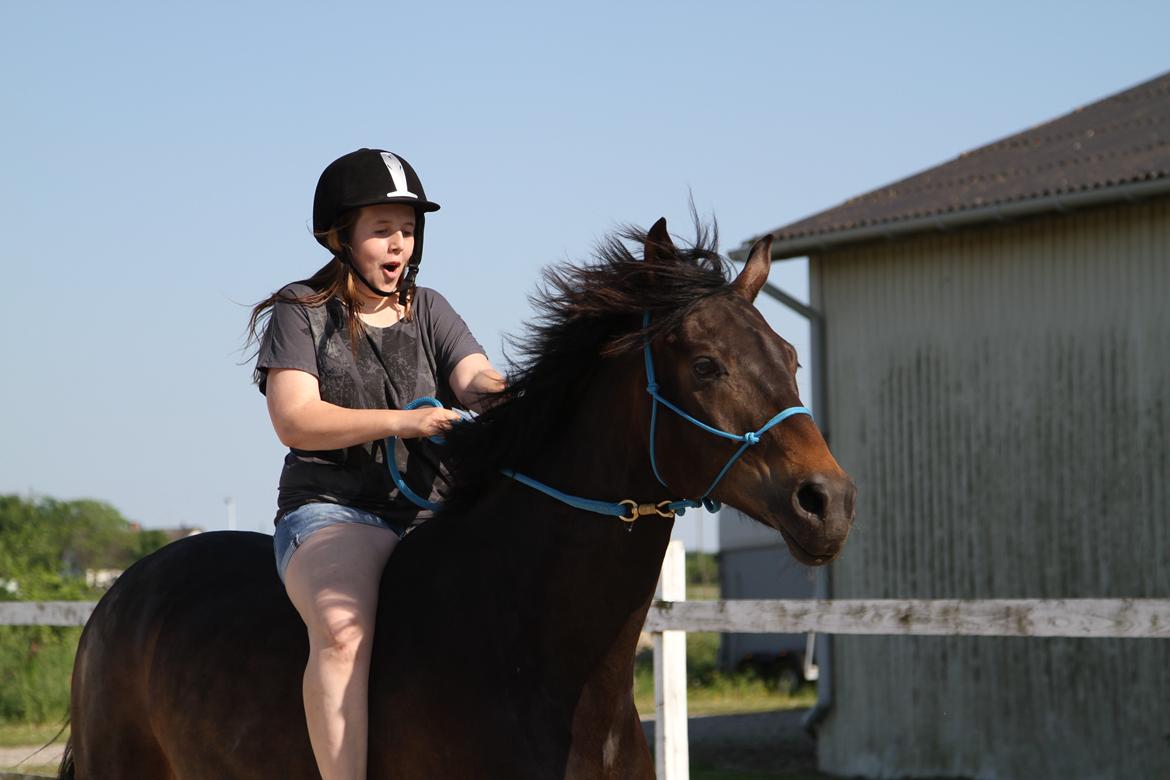 sjove/mærkelige/hyggelige billeder  billede 18