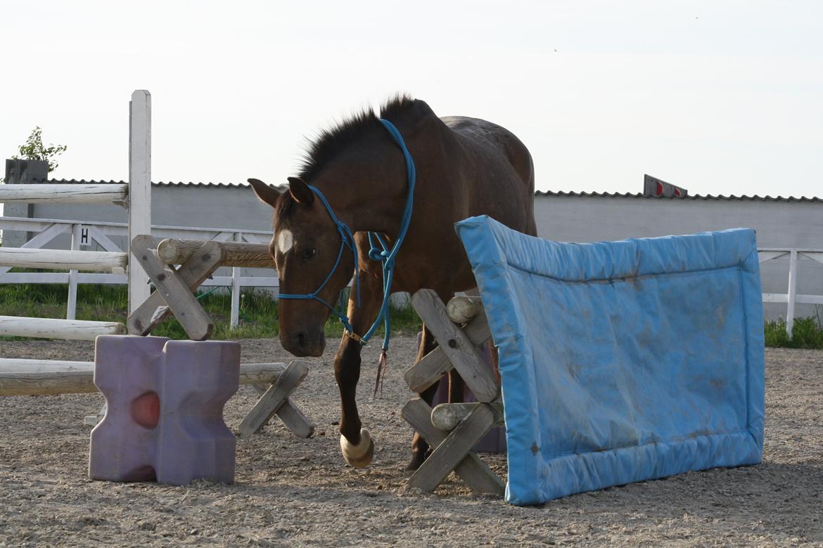 sjove/mærkelige/hyggelige billeder  billede 5