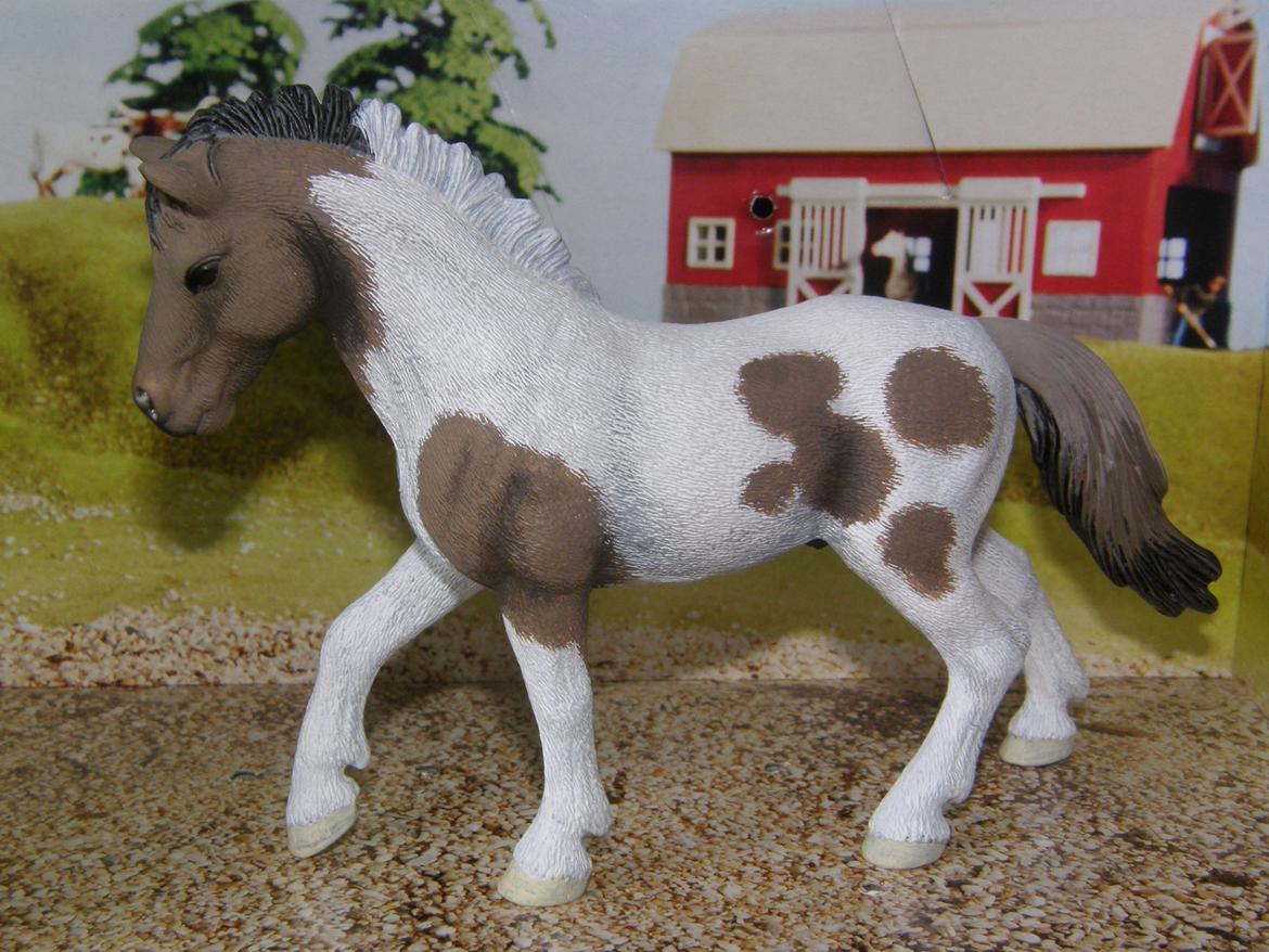 Mine Schleich Dyr - Modelmalet. Navn: Jazz. Race: Pinto. Køn: Hingst. Alder: 4 år billede 157