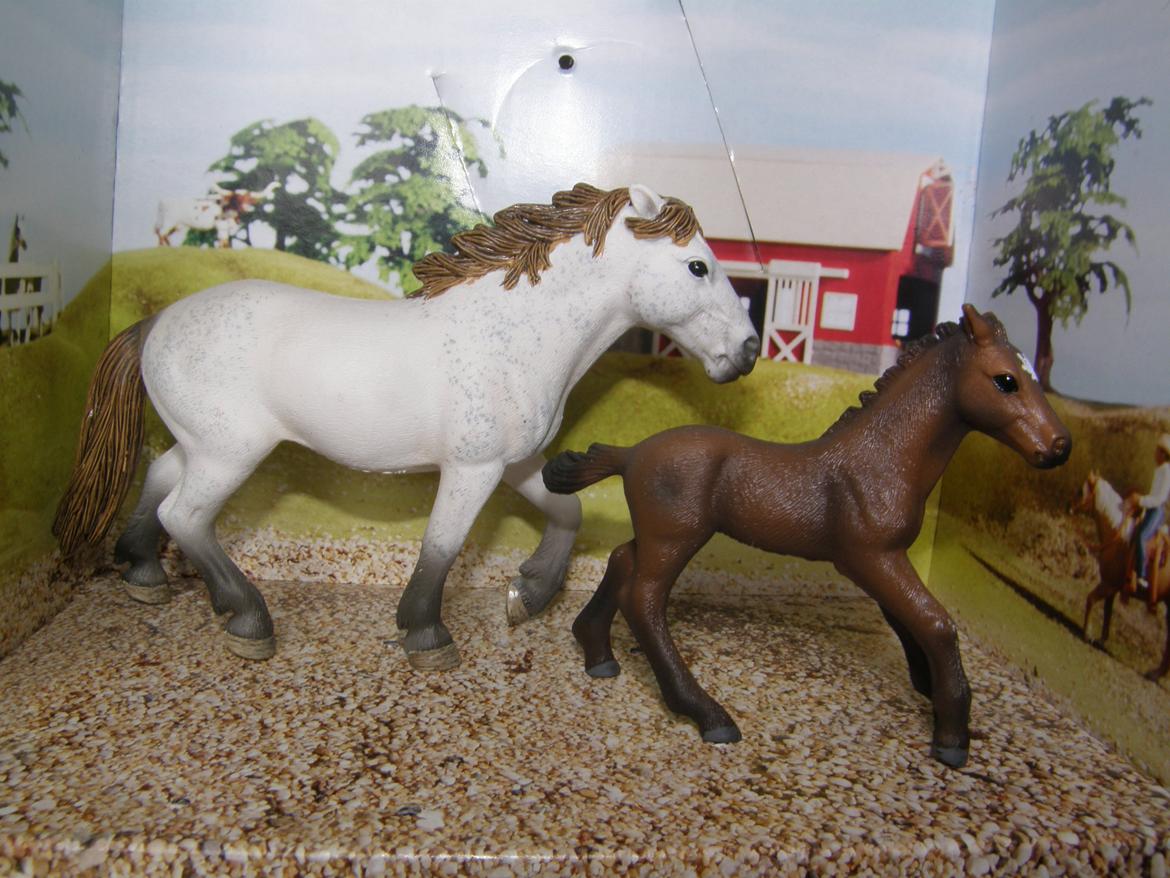 Mine Schleich Dyr - Navn: Freja. Race: Camargue. Køn: Hoppe Alder: 7 år. Navn: Hindbærgårdens Freemy. Race: Camargue. Køn: Hoppe. Alder: 1 mdr. billede 141