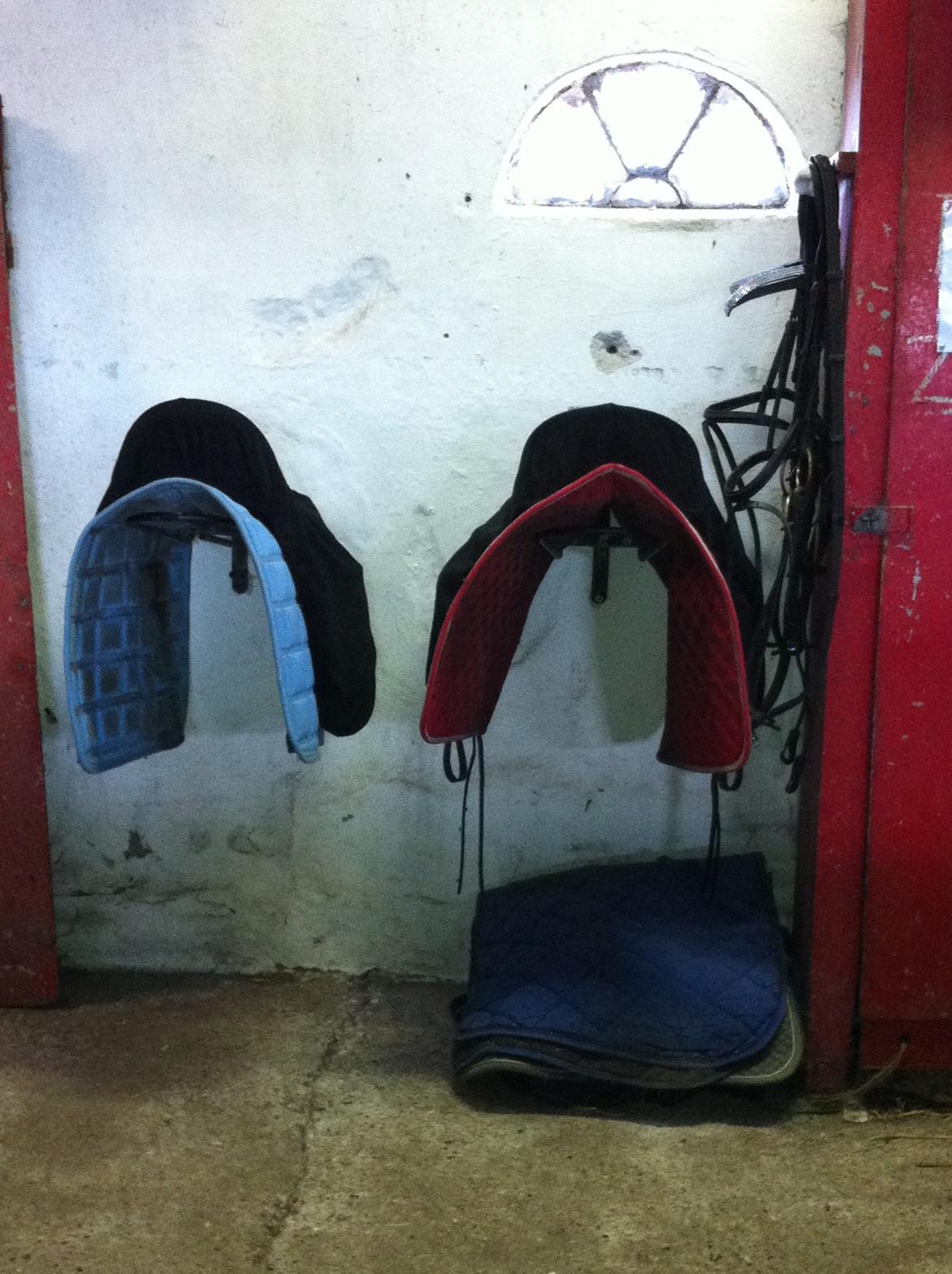 55 DAGE PÅ HESTEGALLERI - Dag 9: Et billede af det sadelrum der er der hvor din pony står opstaldet: Min veninde og jegs sadler og hovedtøjer:-)<3 billede 9