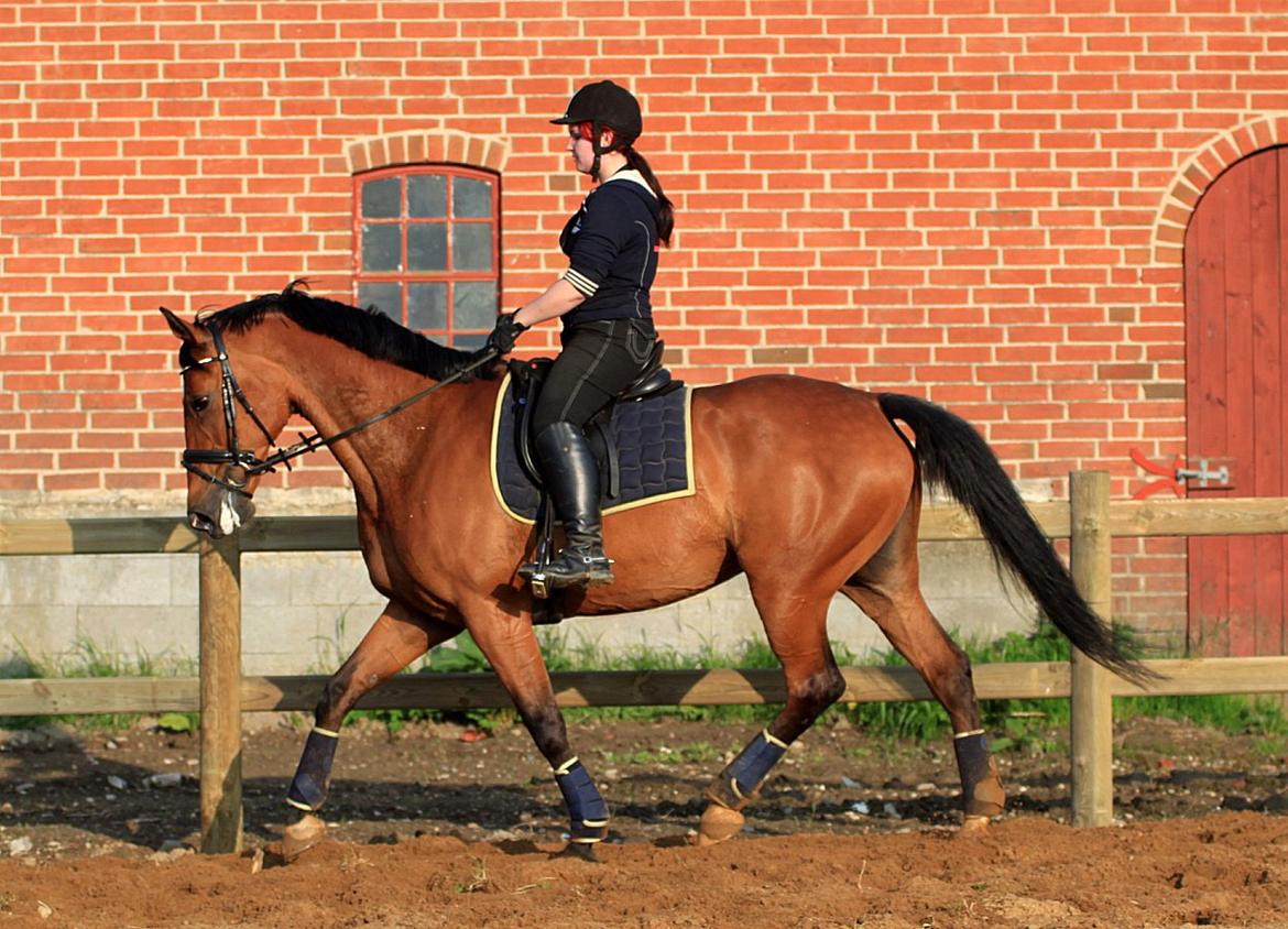 Nogen af mine sæt :) - Mørkeblå underlag med gul kant samt. Matchende gamacher billede 6