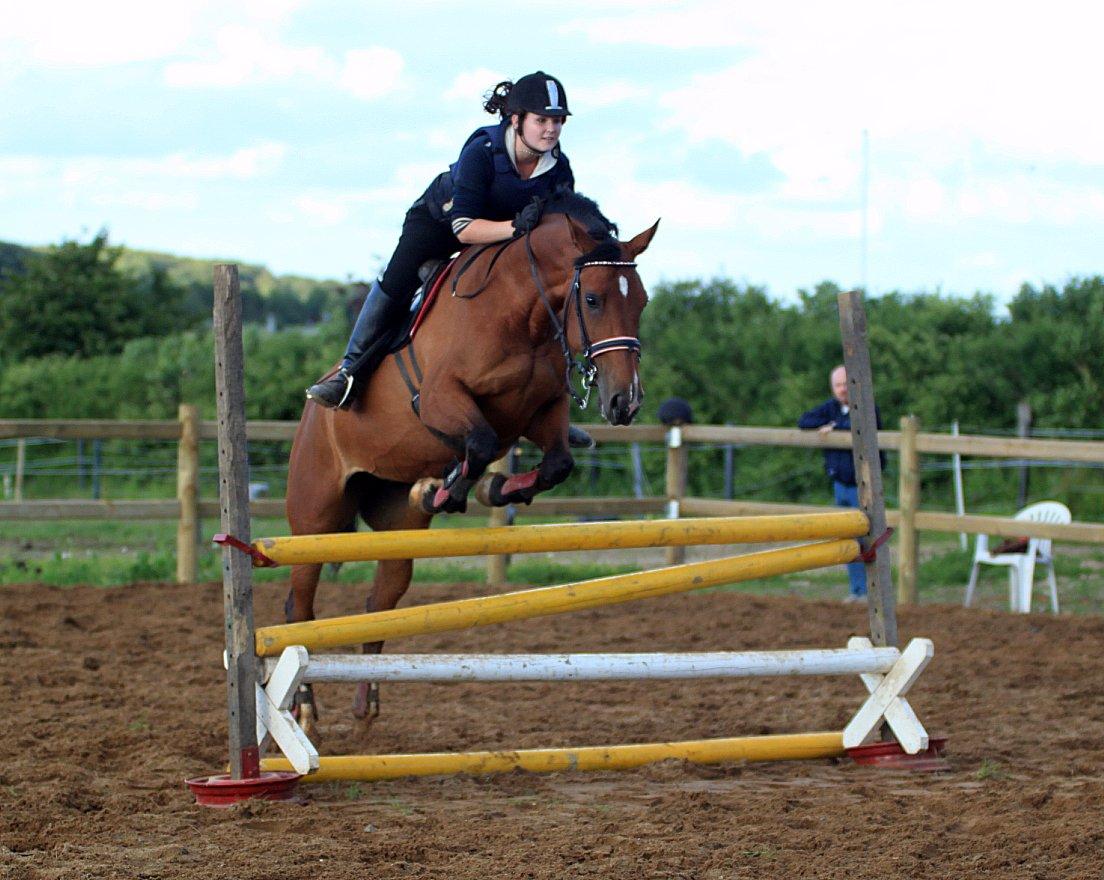 Nogen af mine sæt :) - Rød Eskadron springsæt. Matchende Gamacher og underlag billede 10