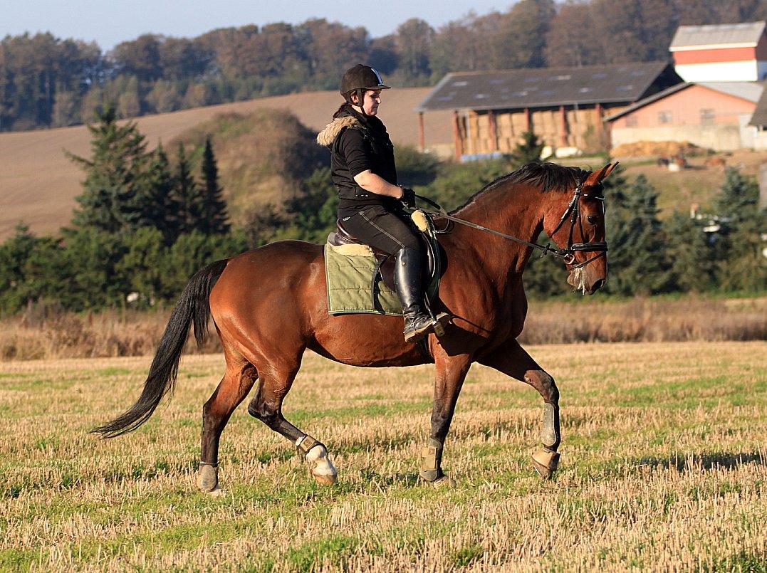 Nogen af mine sæt :) - Grøn Alcapad med matchende gamacher og klokker samt Gold medal trense billede 15