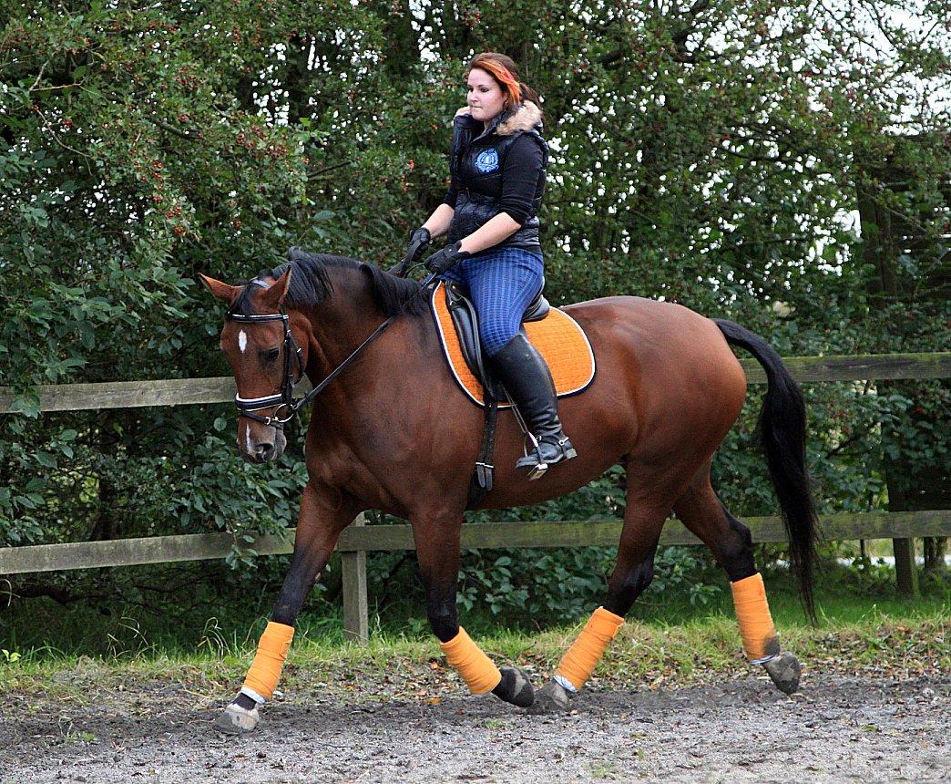 Nogen af mine sæt :) - Orange Elizabeth Greenwood underlag med matchende bandager til og en Stübben 1000 trense billede 17