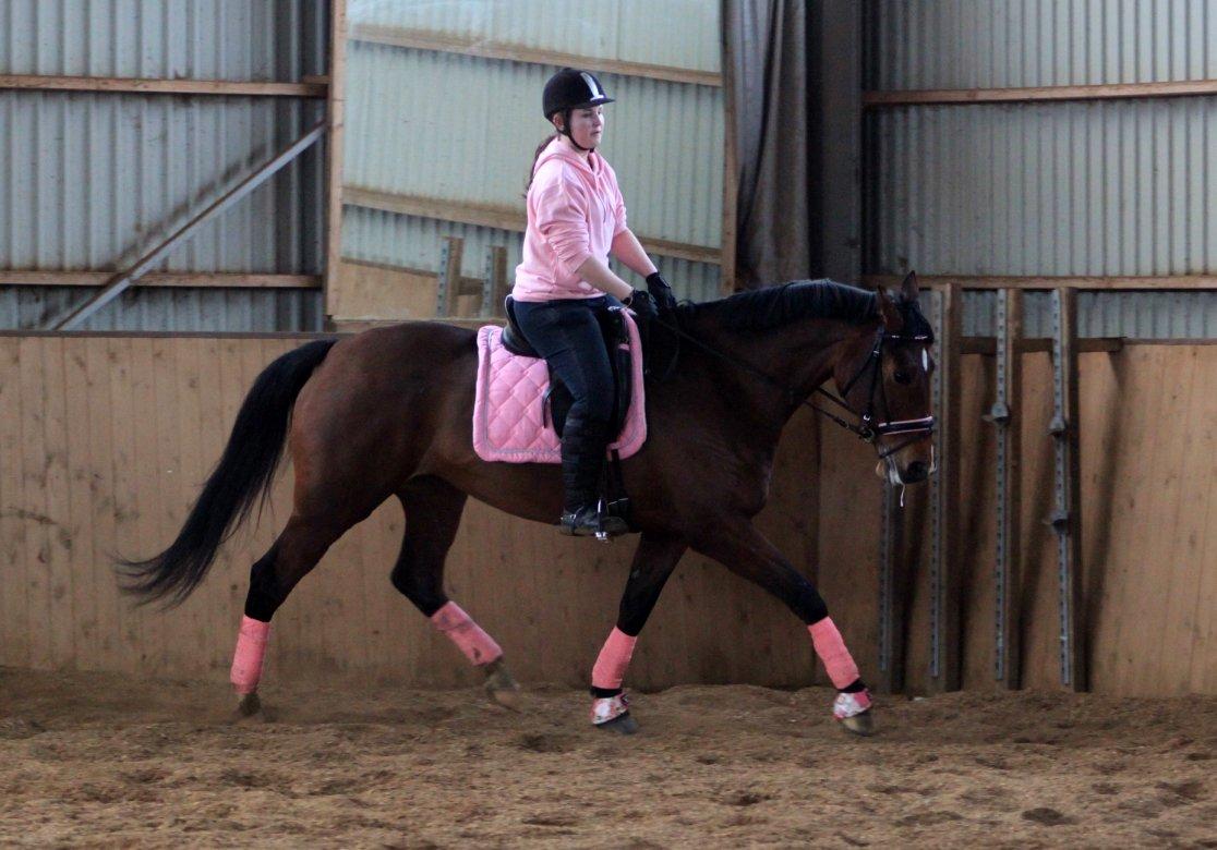Nogen af mine sæt :) - Matchende lyserød HKM underlag, bandager og klokker med lyserøde blomster på samt en Horseline trense med lyserød foring billede 20