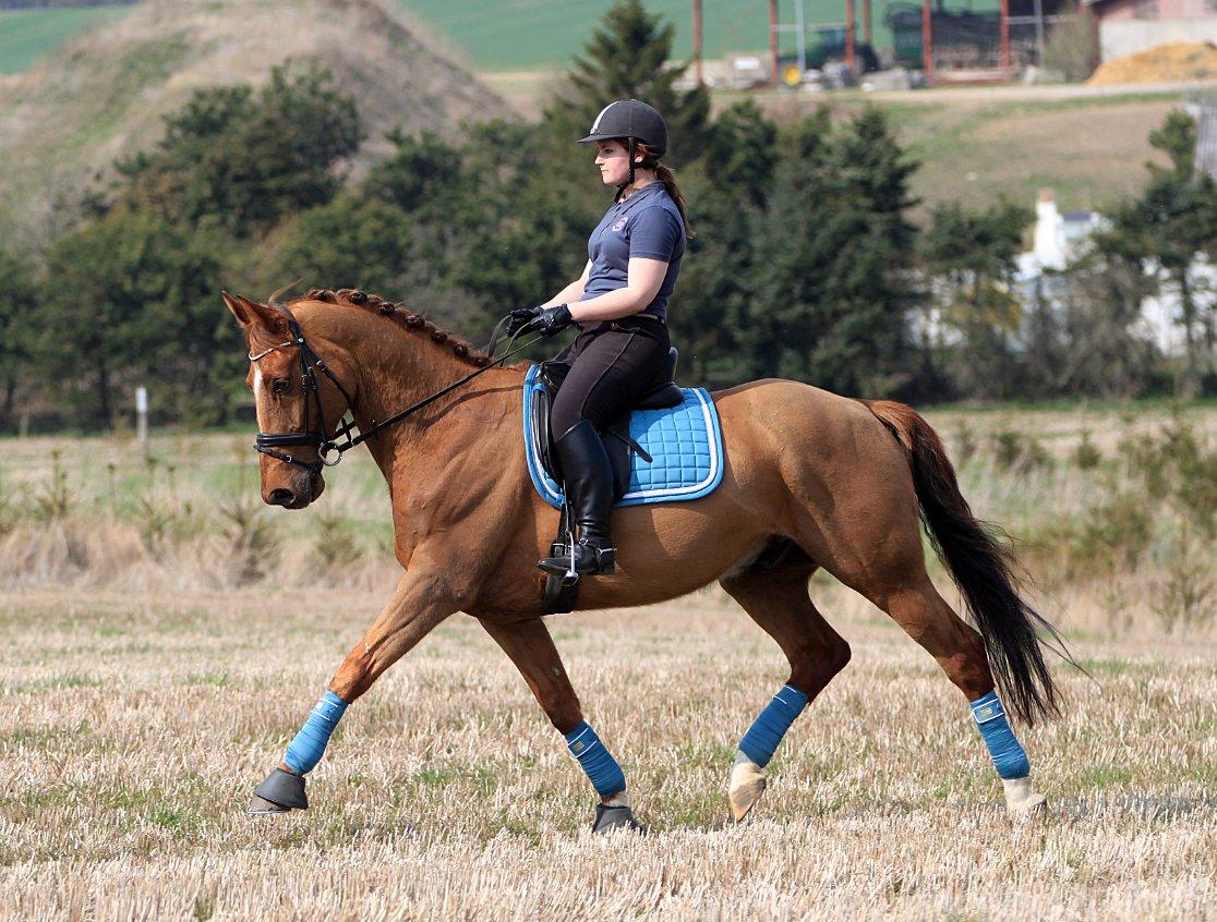 Nogen af mine sæt :) - Storm blue RBH underlag samt bandager billede 4