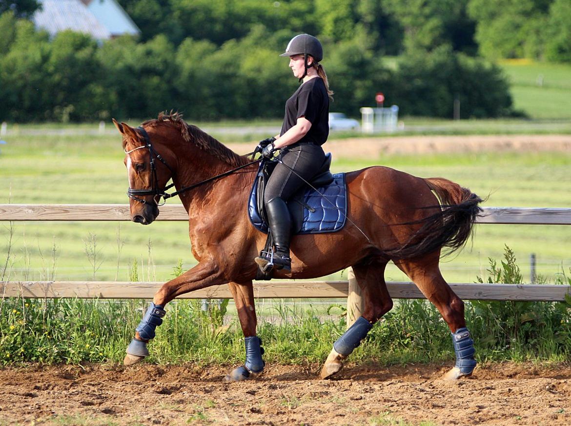 Nogen af mine sæt :) - Blå RBH gamacher samt RBH klokker og farvematchende underlag i satin billede 3