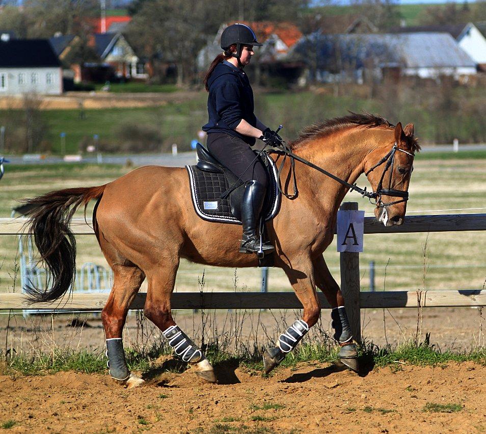 Nogen af mine sæt :) - Sort og hvid RBH underlag og gamacher billede 18