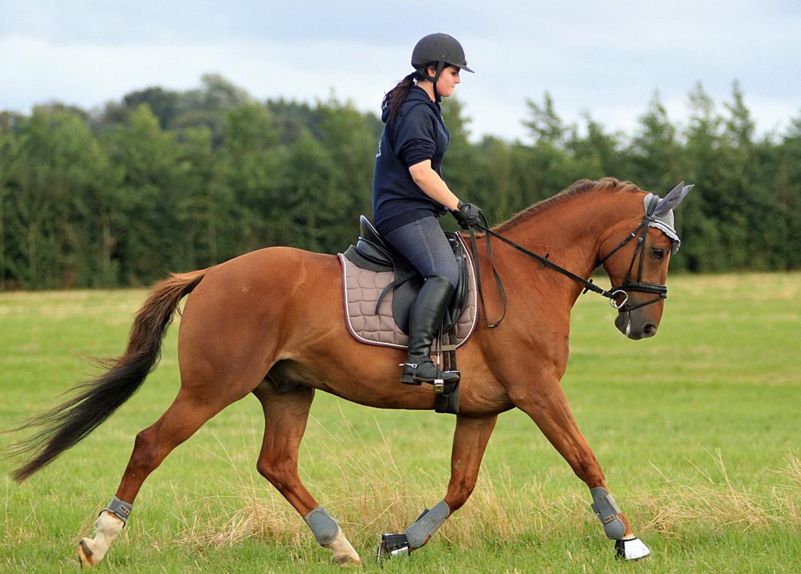 Nogen af mine sæt :) - Lidt af vores grå sæt - Gamacher og hut billede 22