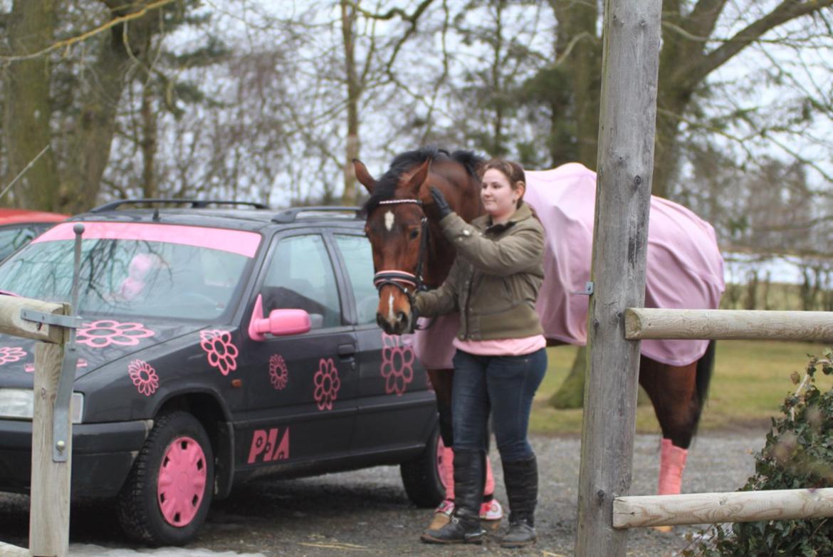 Nogen af mine sæt :) - Lyserød HKM tæppe, underlag samt glimmergamacher fra HKM og min bil ;) billede 25