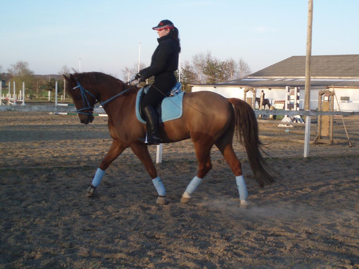 Nogen af mine sæt :) - Lyseblå trense, underlag, bandager og rumpevarmer med får på. billede 11