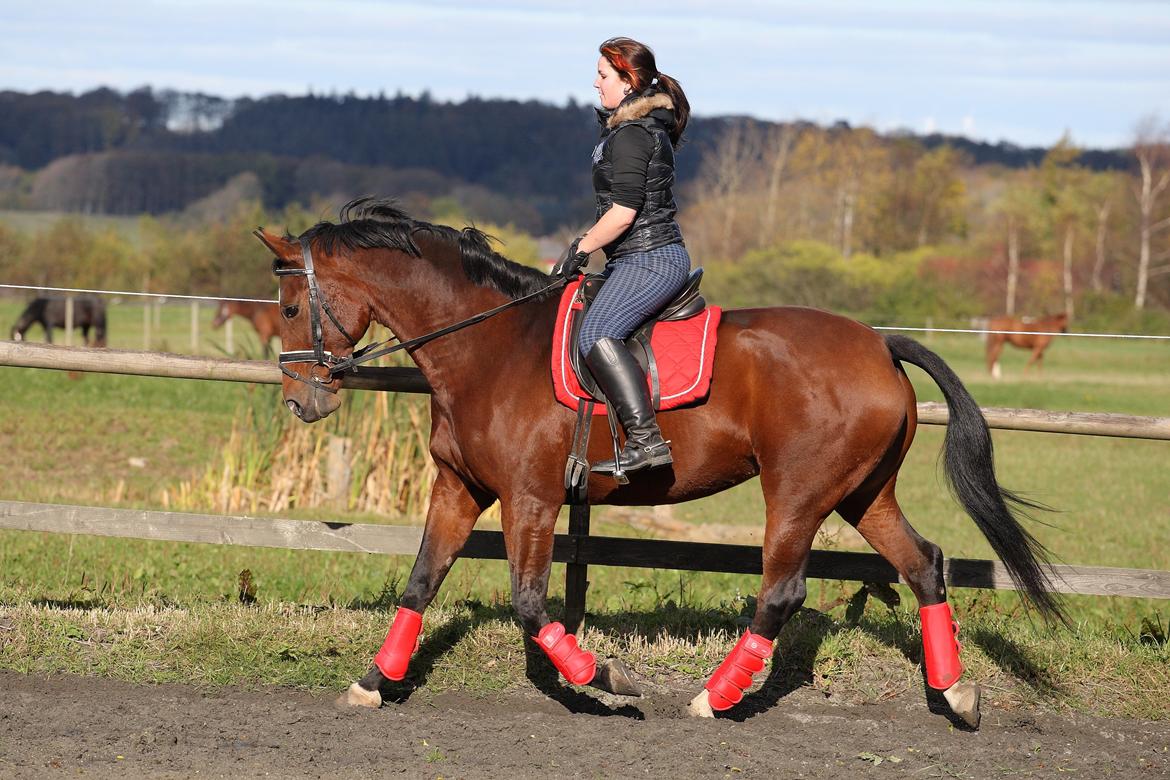 Nogen af mine sæt :) - Rød HKM underlag med RBH gamacher billede 19