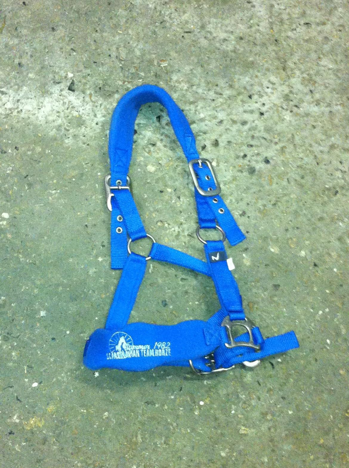 55 DAGE PÅ HESTEGALLERI - Dag 10: Et billede af din yndlings grime: Horze Brighton grime i blå <3 billede 10