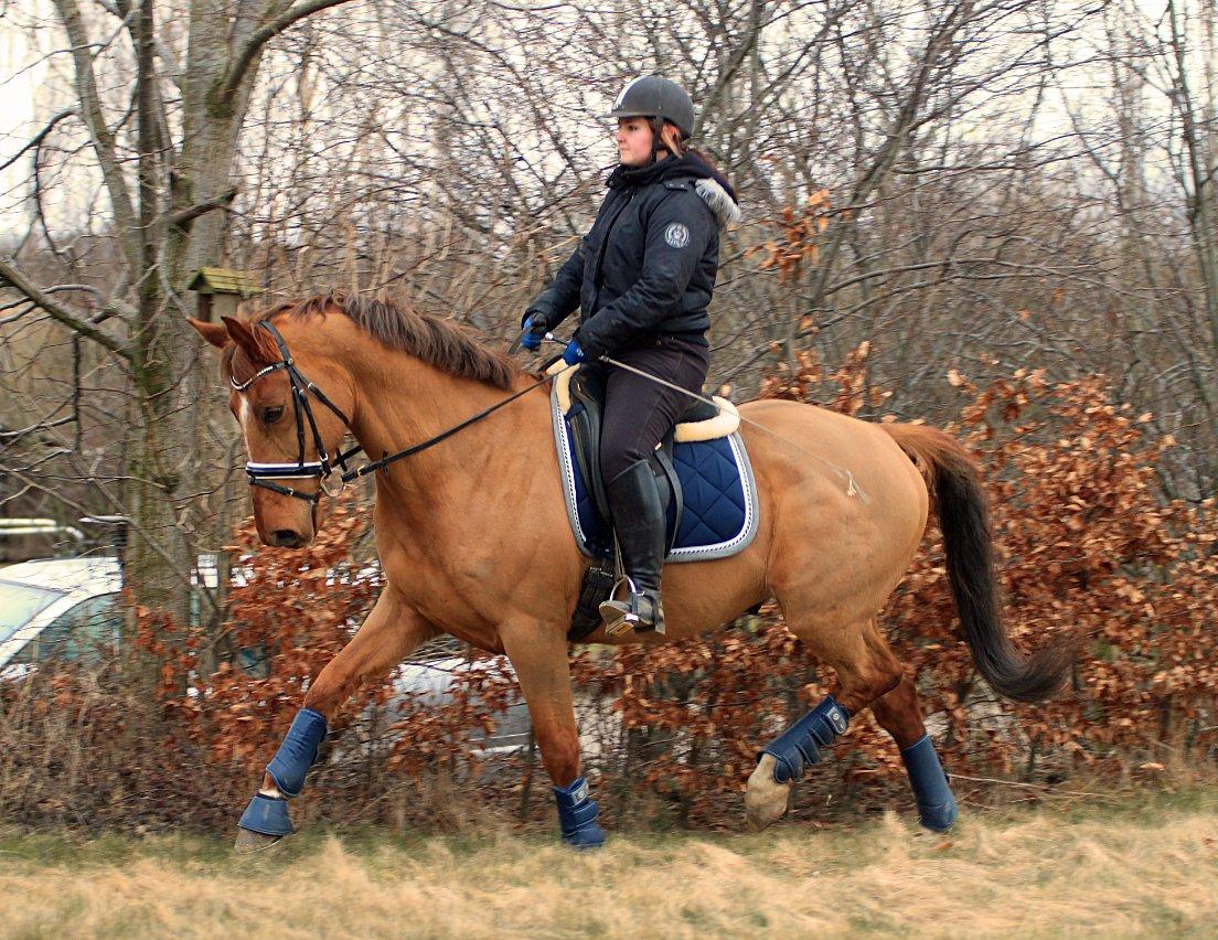 Nogen af mine sæt :) - Blå RBH sæt Gamacher, klokker og underlag  billede 8