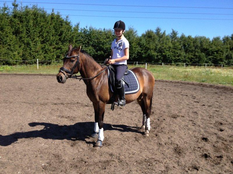 Almas VIP aften - Efter vi var færdige med at ride, og udstyret var gjort godt beskidt! billede 4