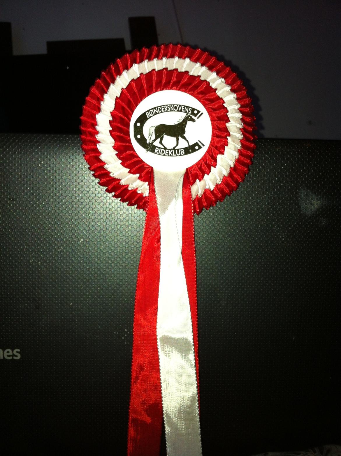 55 DAGE PÅ HESTEGALLERI - Dag 11: Et billede af dit bedste stævne: Mit første stævne :-) billede 11