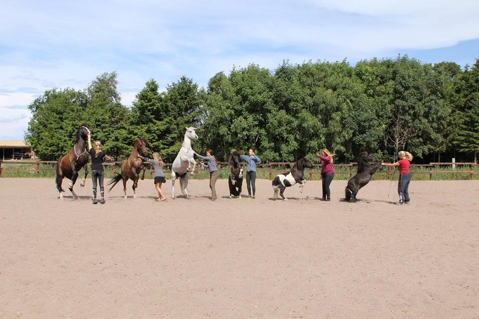 Pyt i paradis - igen billede 1