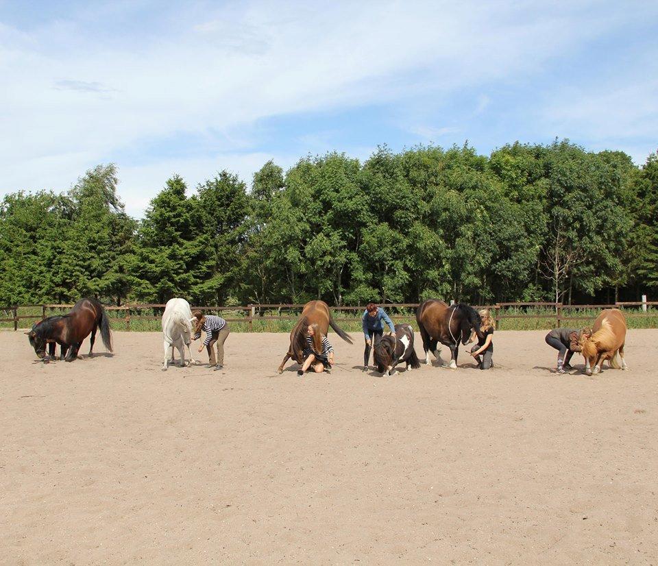 Pyt i paradis - igen billede 2