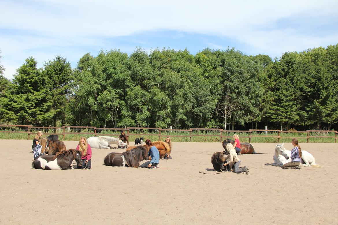 Pyt i paradis - igen billede 3