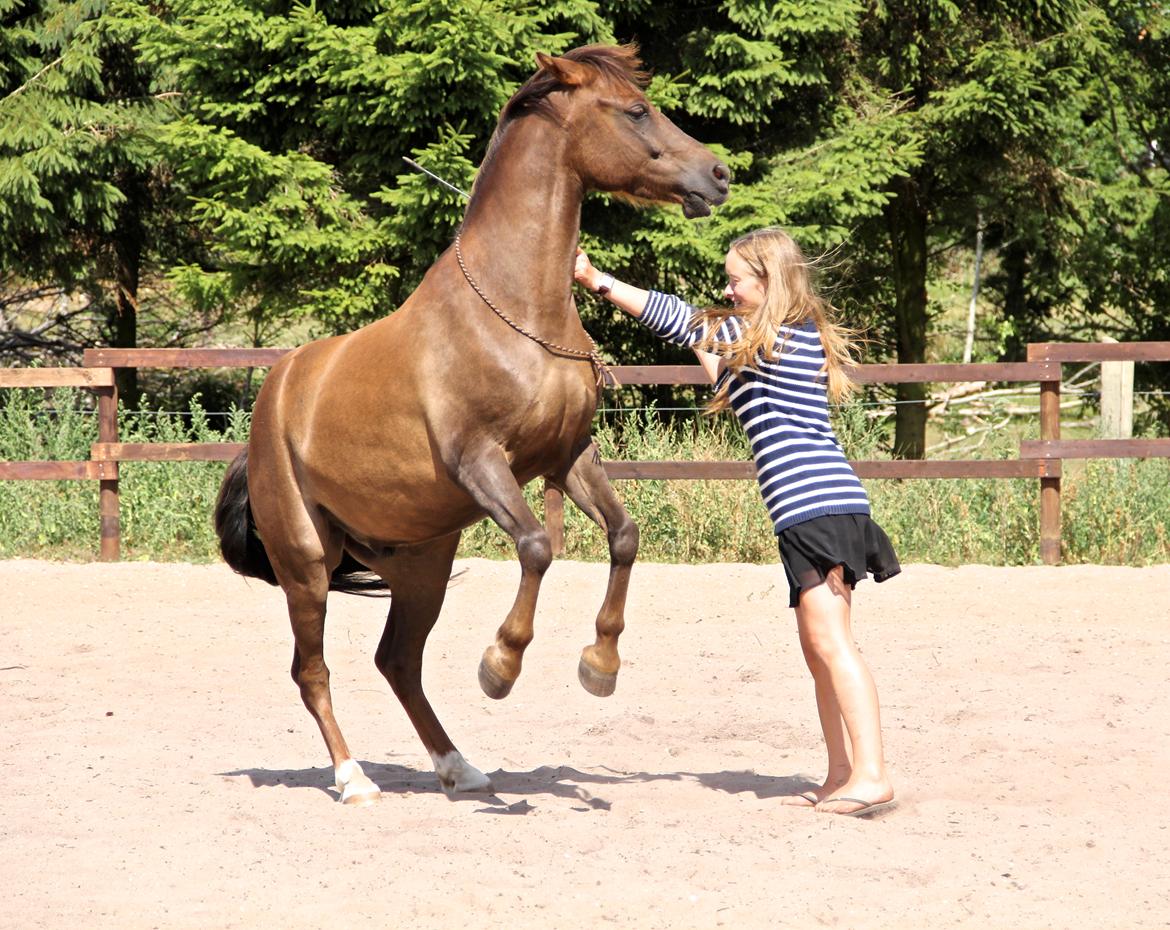 Pyt i paradis - igen billede 4