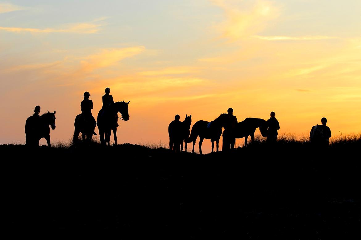 Pyt i paradis - igen billede 5