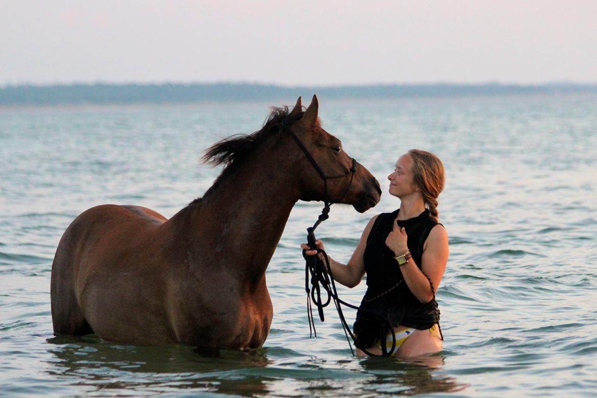 Pyt i paradis - igen billede 6