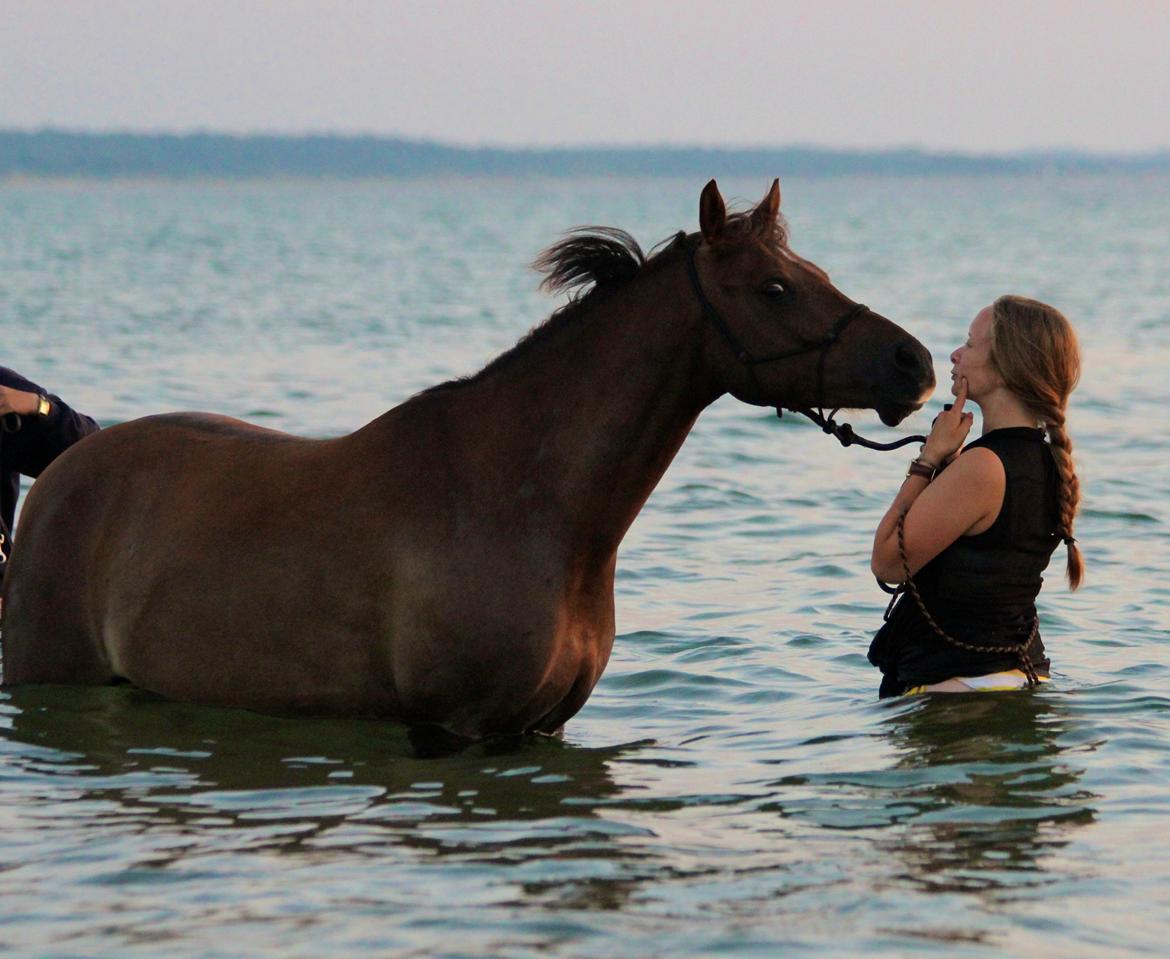 Pyt i paradis - igen billede 7
