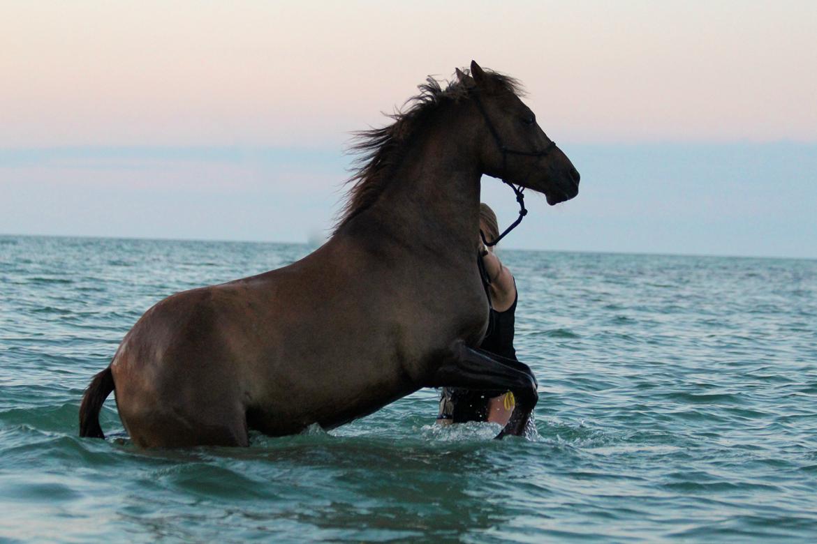 Pyt i paradis - igen billede 8