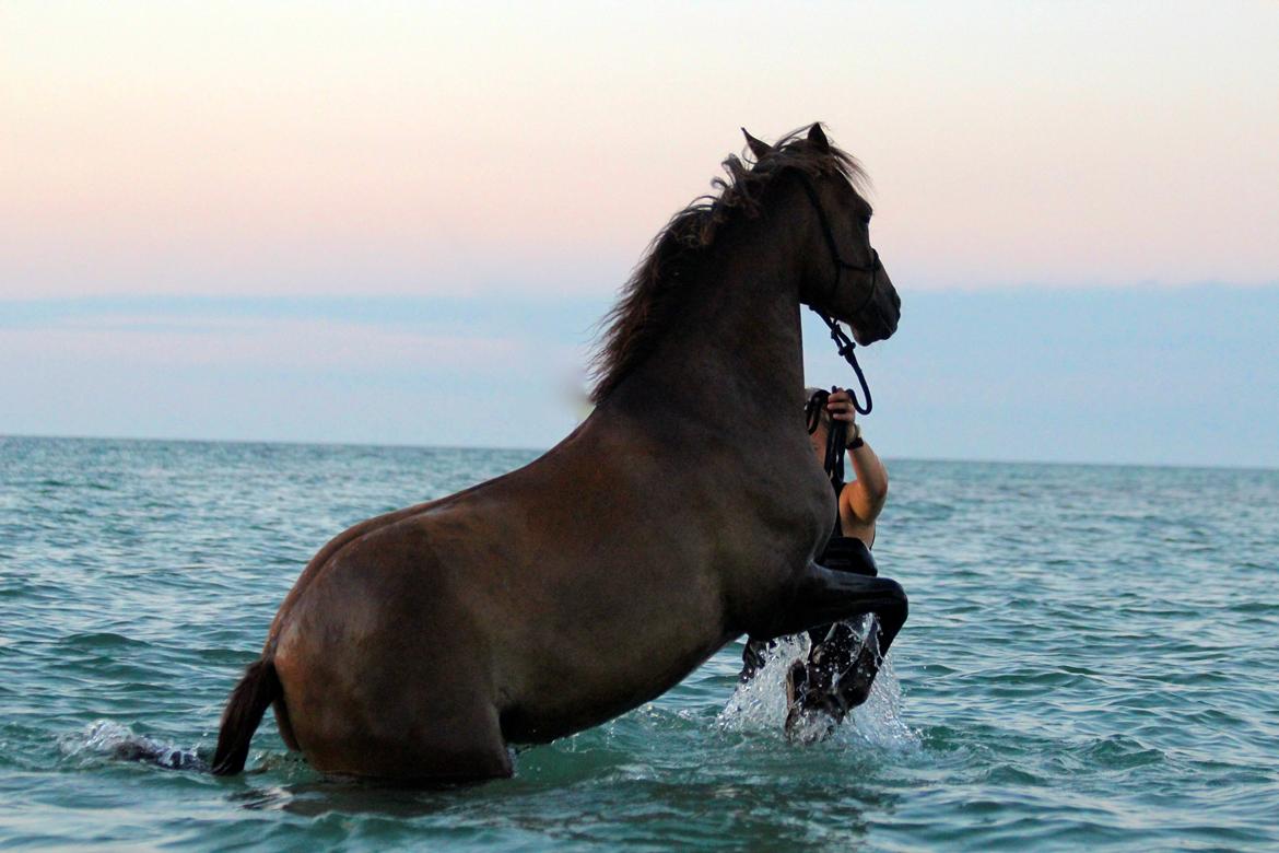 Pyt i paradis - igen billede 9