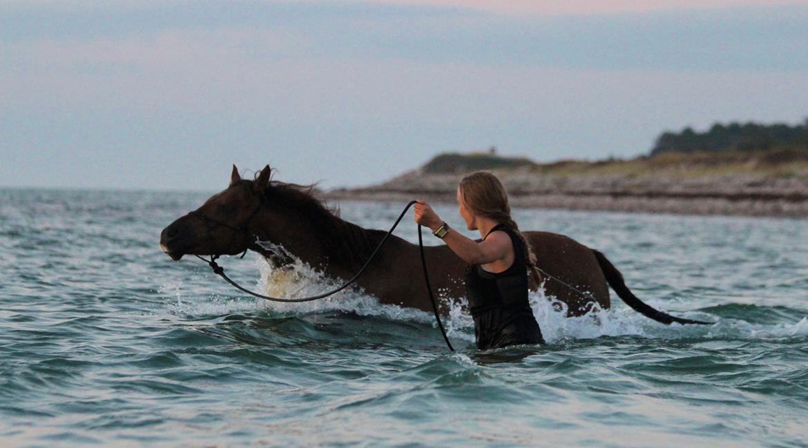 Pyt i paradis - igen billede 10