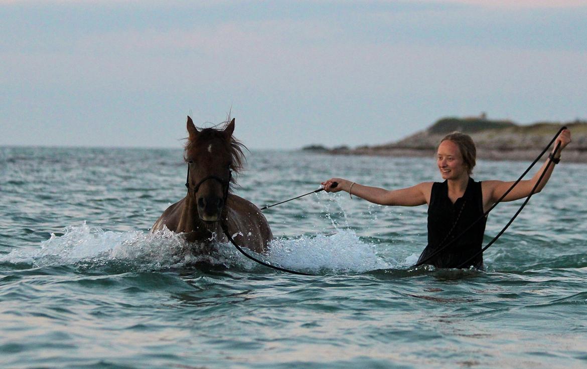 Pyt i paradis - igen billede 11