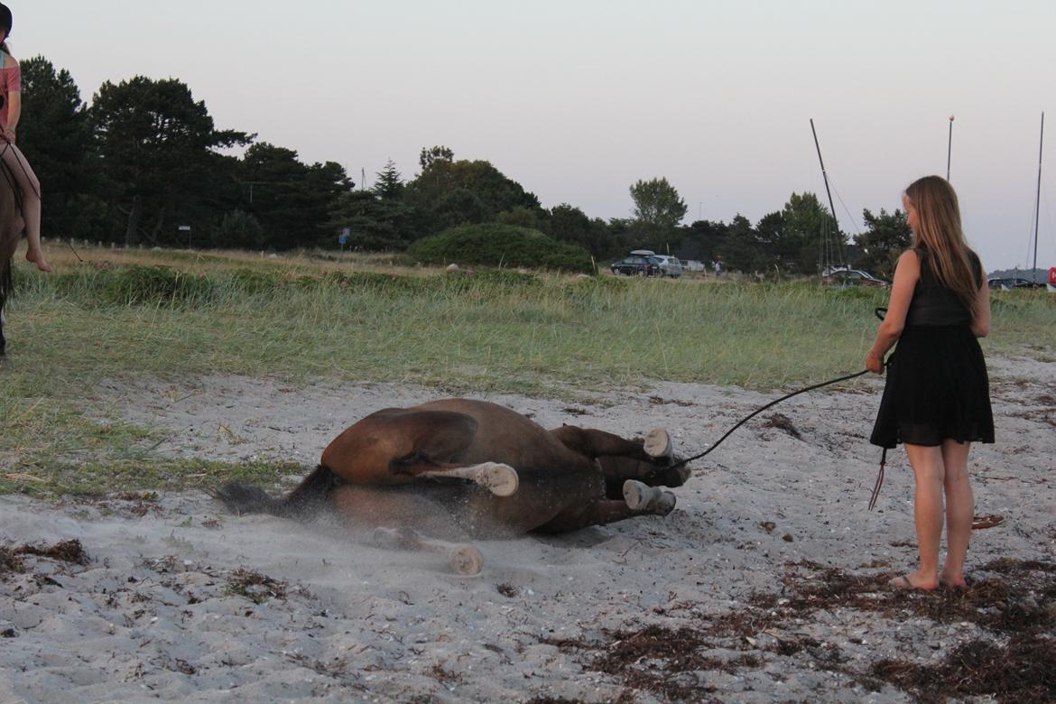 Pyt i paradis - igen billede 16
