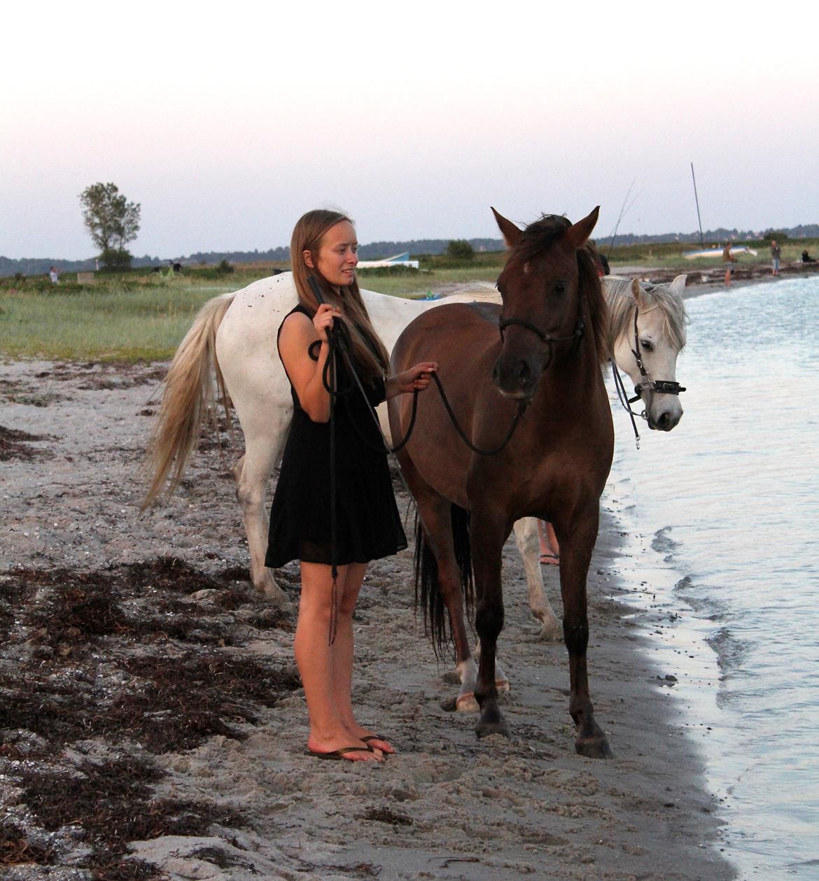 Pyt i paradis - igen billede 17