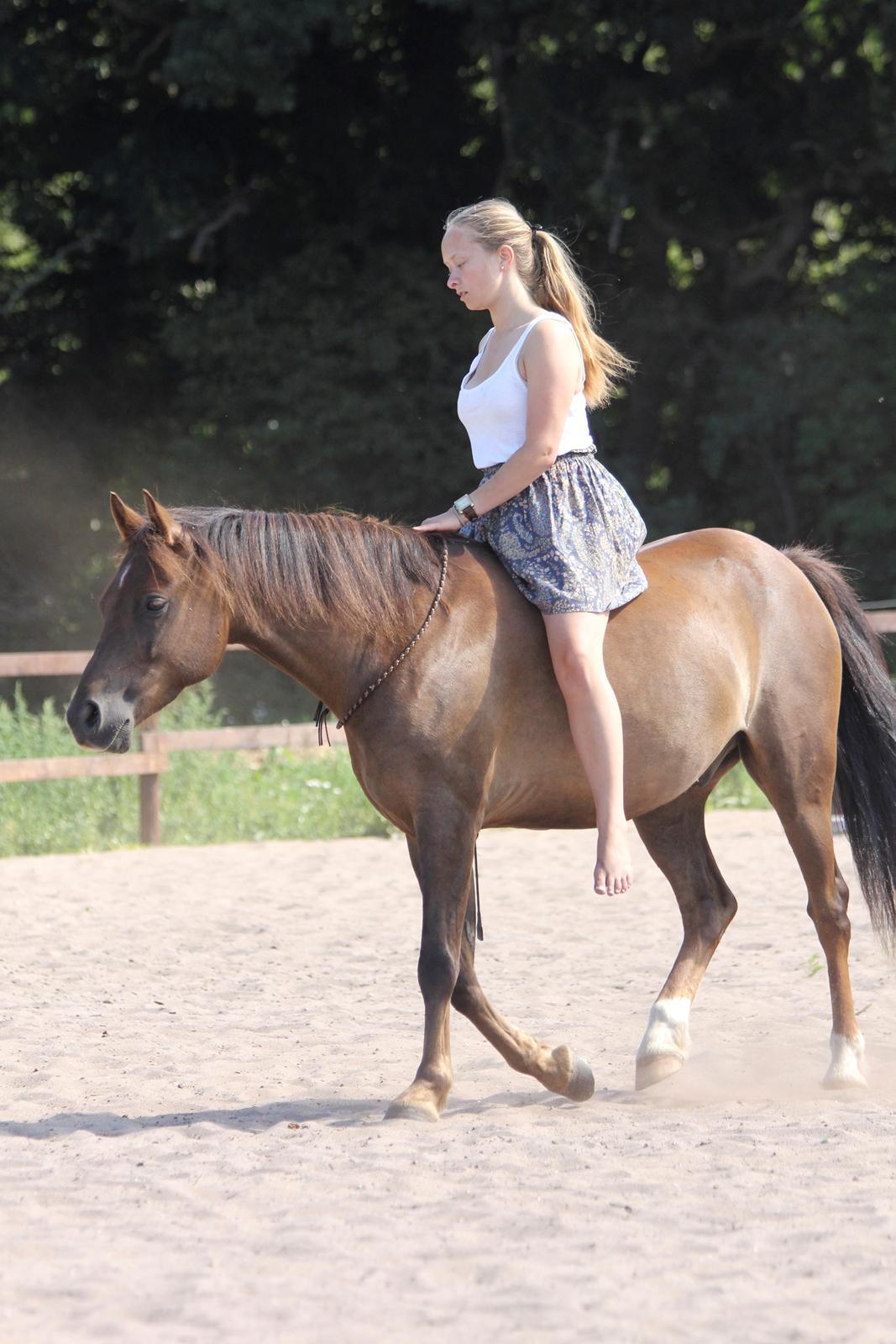 Pyt i paradis - igen billede 18