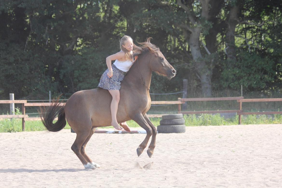 Pyt i paradis - igen billede 19