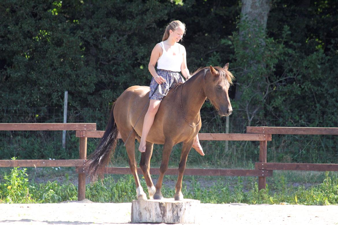 Pyt i paradis - igen billede 20