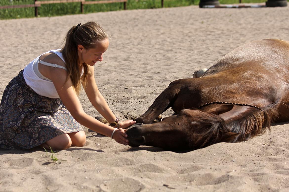 Pyt i paradis - igen billede 21