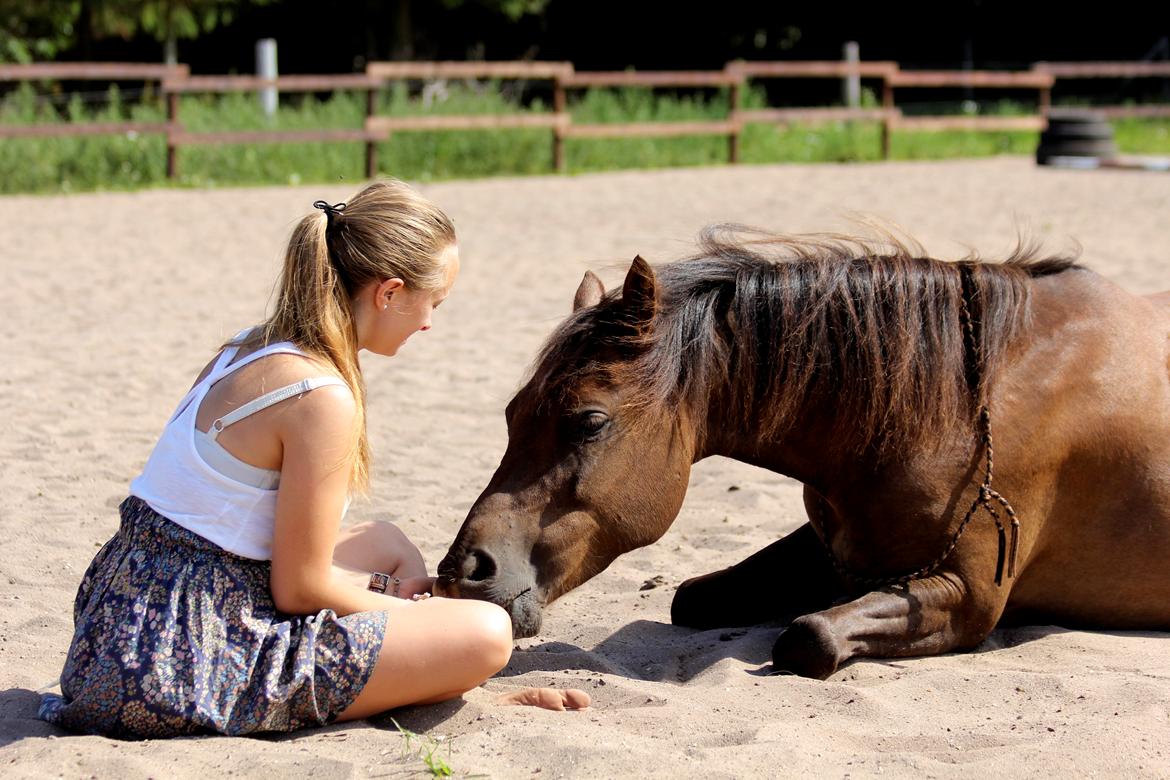 Pyt i paradis - igen billede 22