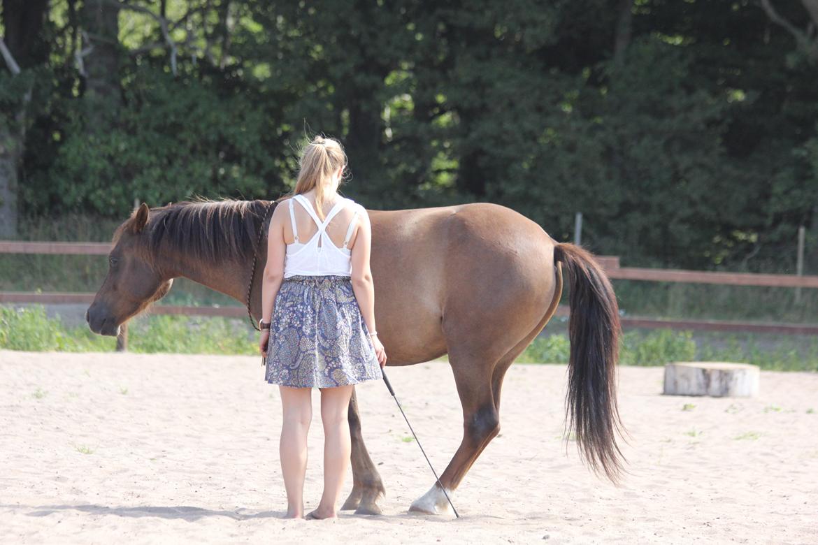 Pyt i paradis - igen billede 23