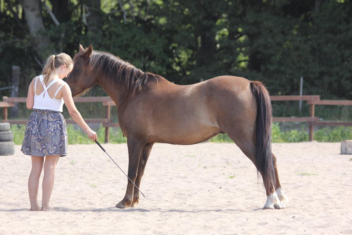 Pyt i paradis - igen billede 24