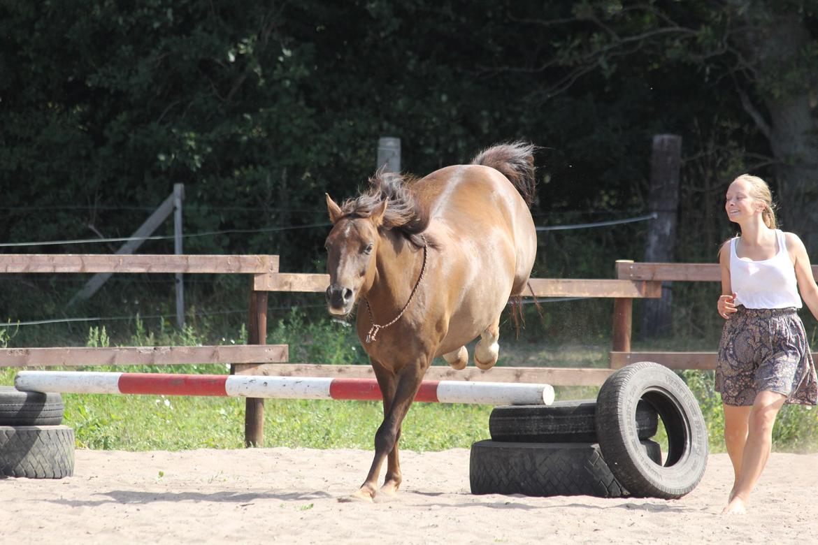 Pyt i paradis - igen billede 26