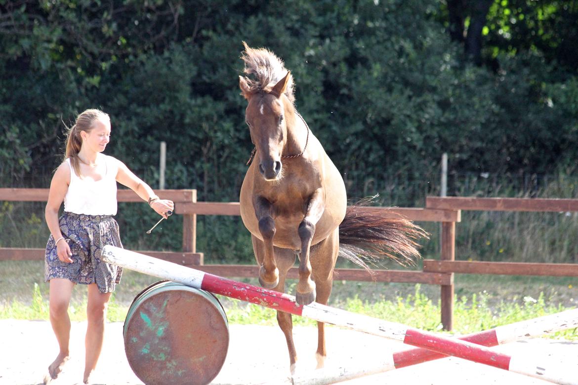 Pyt i paradis - igen billede 28