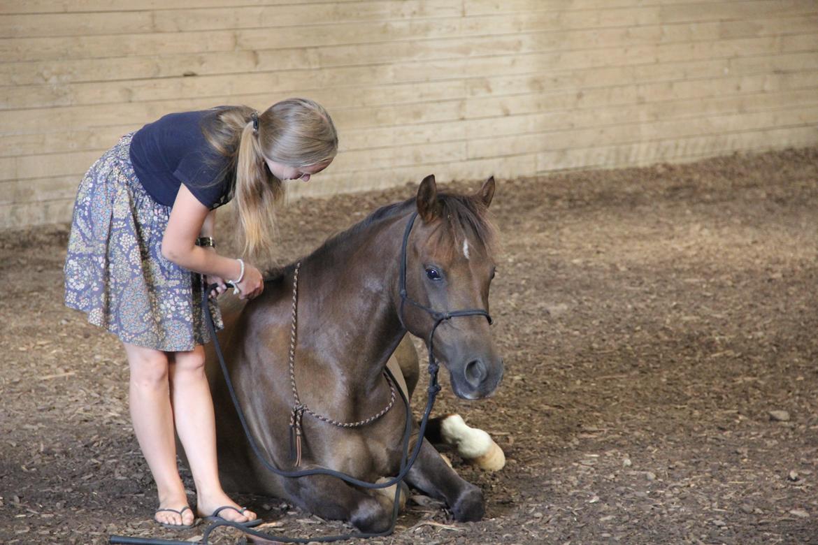 Pyt i paradis - igen billede 31