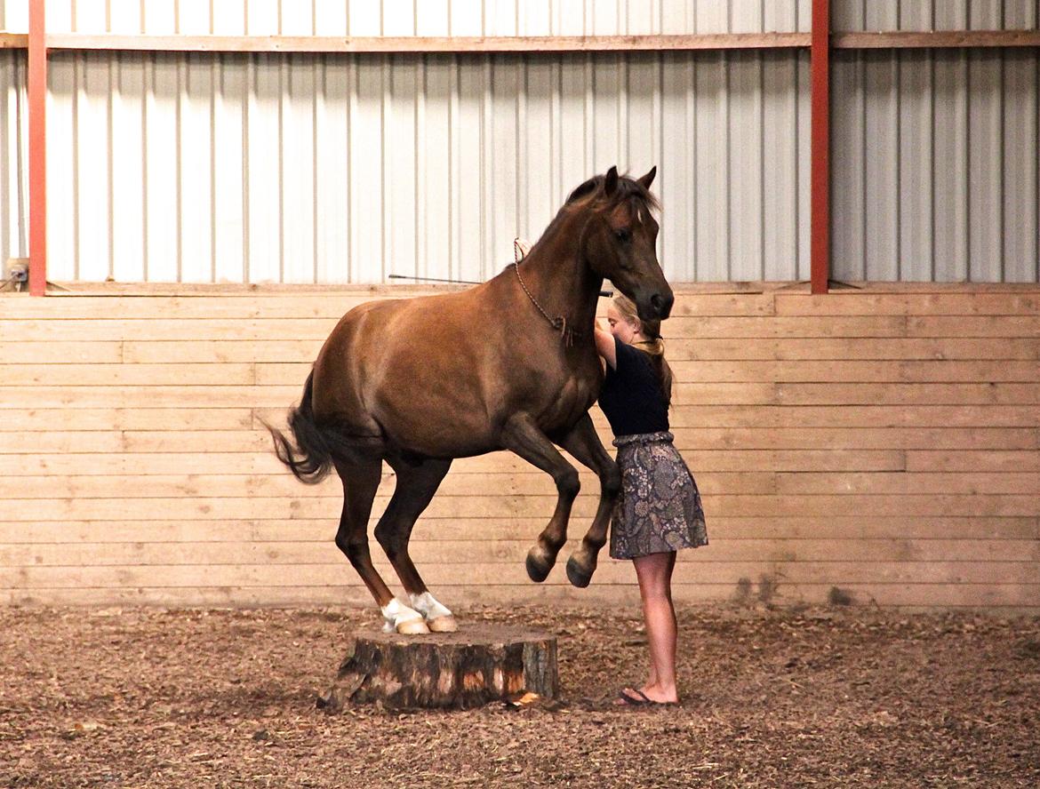 Pyt i paradis - igen billede 32