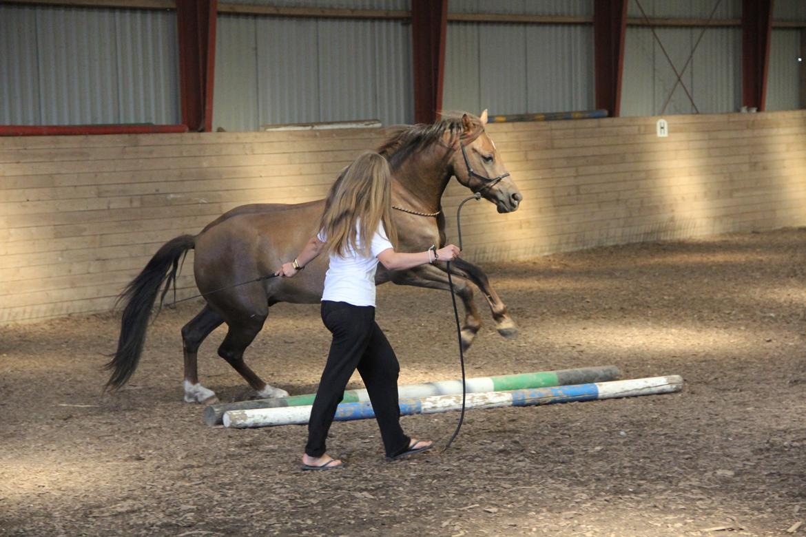 Pyt i paradis - igen billede 33