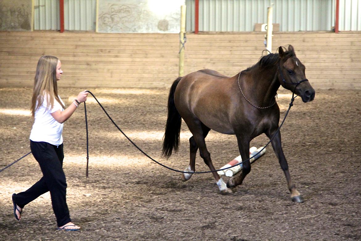 Pyt i paradis - igen billede 34