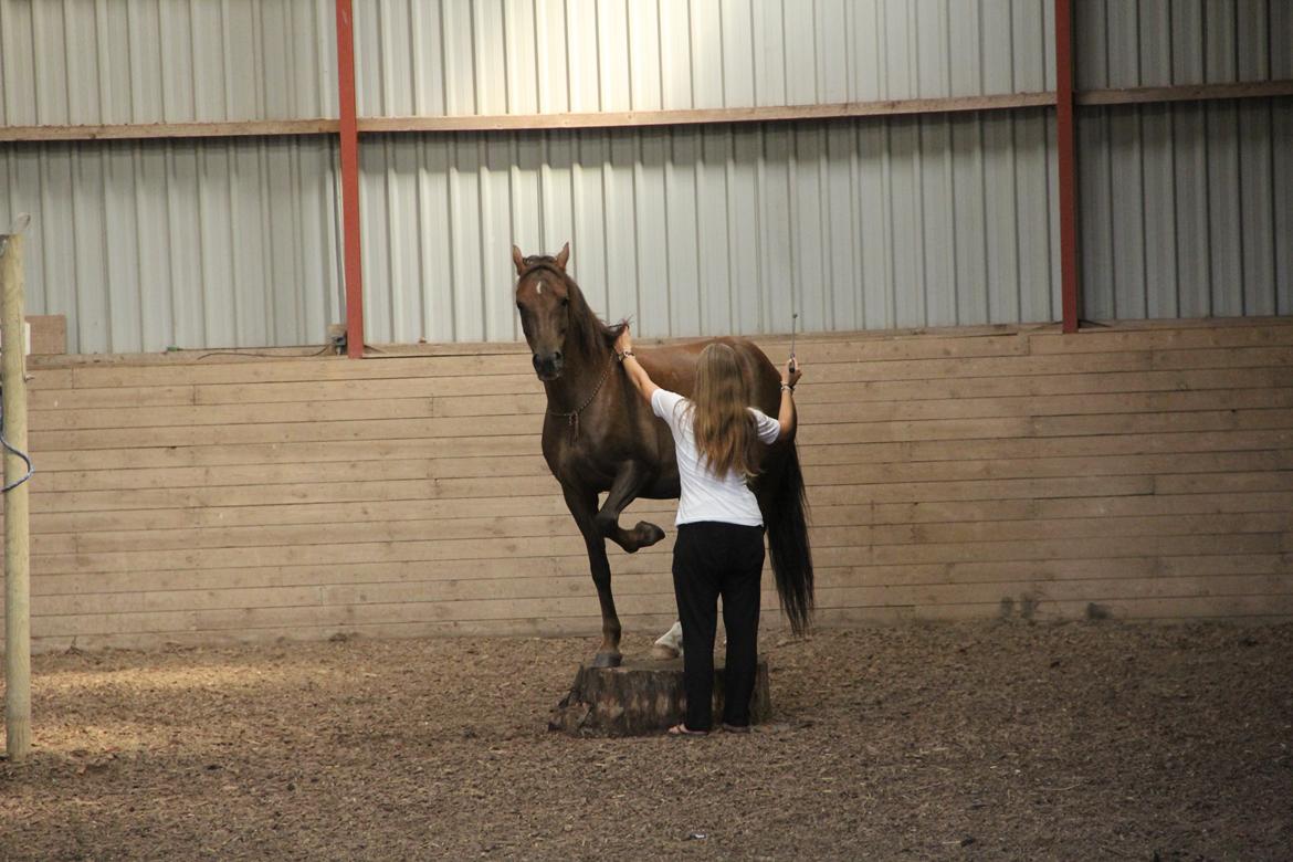 Pyt i paradis - igen billede 35